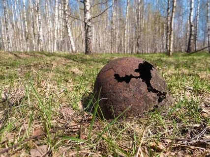 Встанет земля