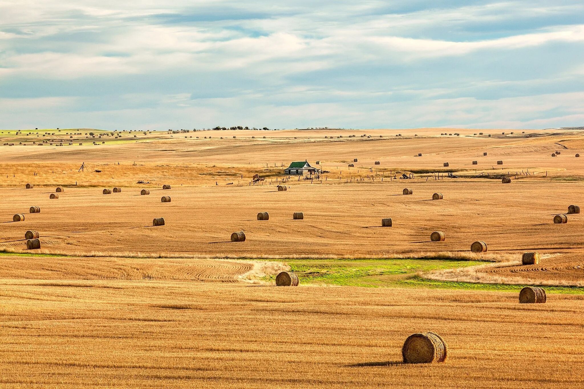 Land fields. В поле. Пшеничные поля в индии. Растениеводство. Пустая земля.