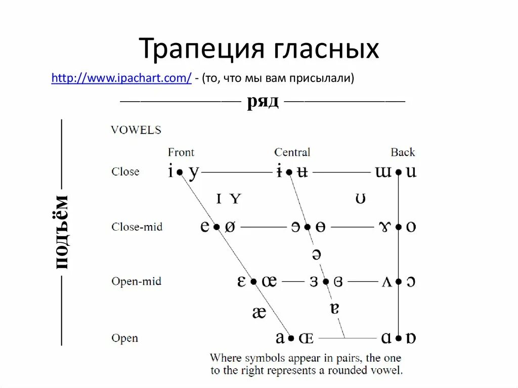 Классификация гласных ряд подъем. Гласный звук верхнего подъема переднего ряда. Гласные звуки переднего ряда в английском языке. Классификация гласных звуков таблица. Лабиализация гласных звуков.