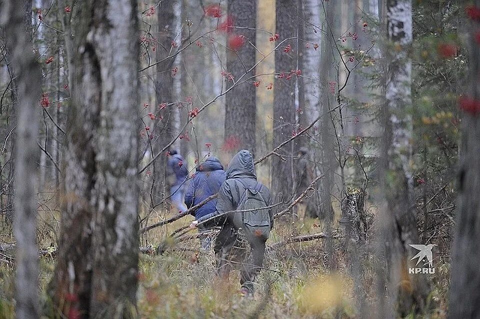 Пропавшее эхо. Человек в лесу. Потерялся в лесу. Чел в лесу.