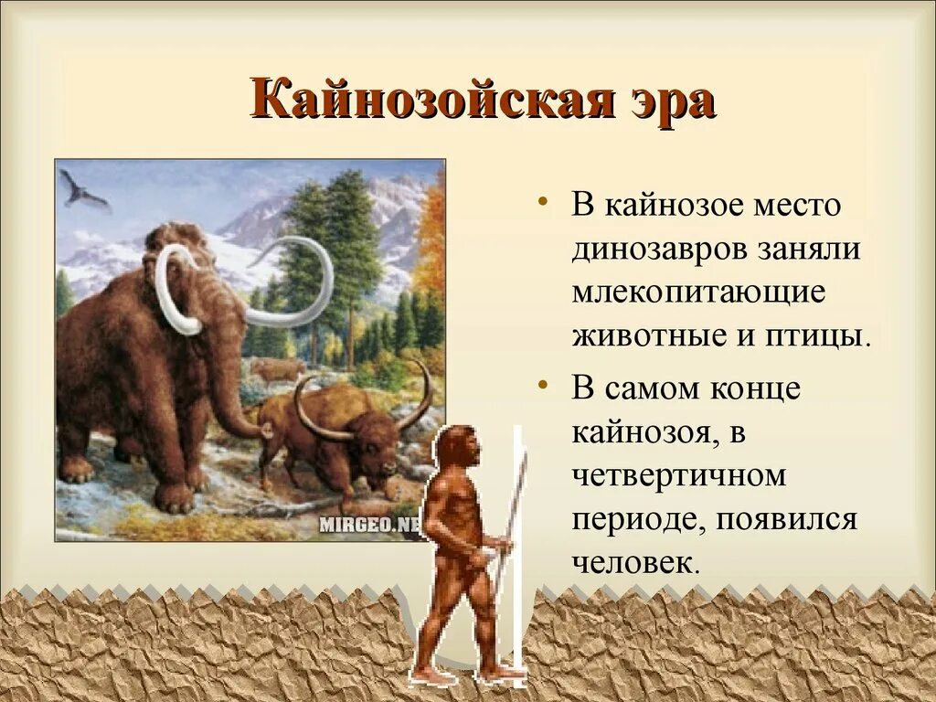 Кайнозойская Эра антропоген период. Кайнозой Эра периоды. Четвертичный период кайнозойской эры животные. Кайнозой Эра кратко. Появление кайнозойской эры