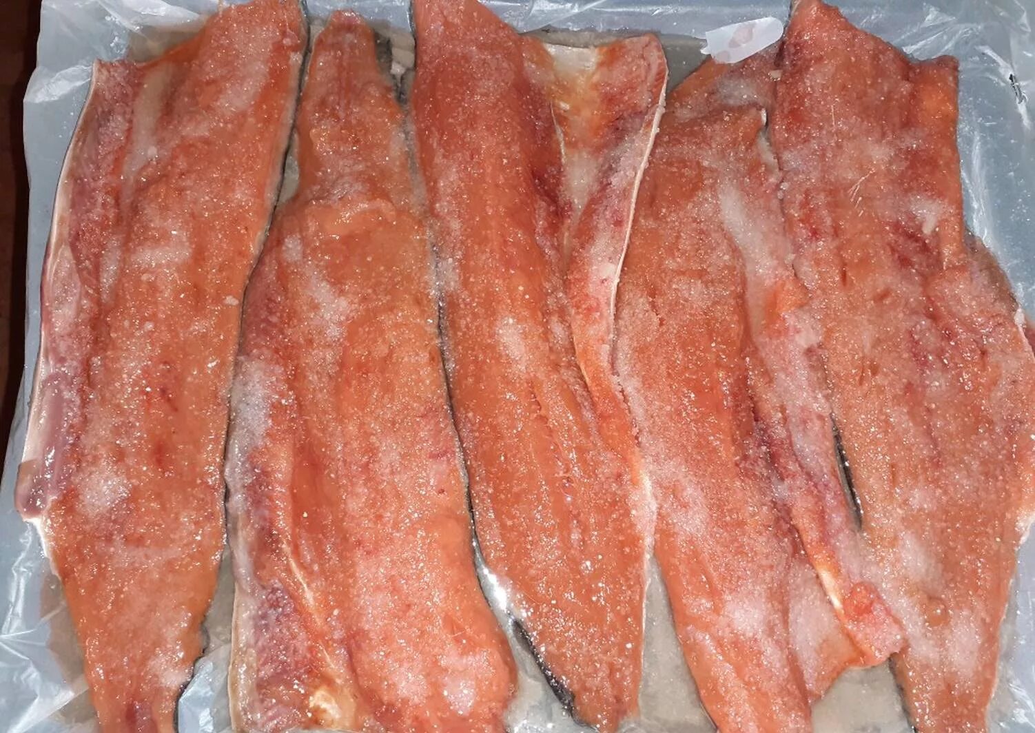 филе горбуши посолить. соленая форель горбуша семга. горбуша вкусно. рыба горбуша соленая. кета филе слабосоленая.