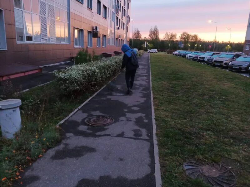 мусорки уличные. мбу служба благоустройства. красногорская городская служба управляющая. красногорская городская служба управляющая. соседка во дворе.