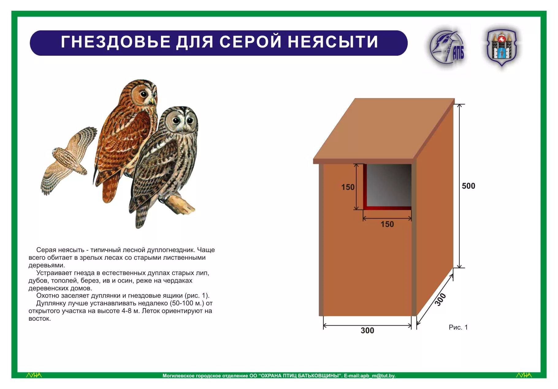 Какой тип развития характерен для воробьиного сыча. Искусственные гнездовья для сов. Домик для Совы Размеры. Домик для неясыти. Скворечник чертеж.