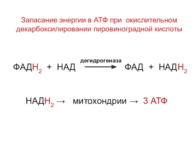 В атф заключено энергии. Запасание энергии АТФ. АТФ процесс запасания энергии. Окислительное декарбоксилирование ПВК. ФАД В окислительном декарбоксилировании.