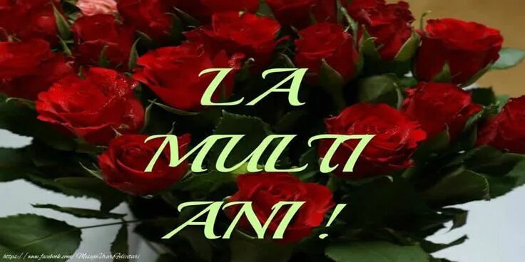 Felicitari pentru ziua de nastere. Картинки la multi ani. открытки de zi de nastere. букет роз la multi ani. ла мулць ань ку зиуа де наштере.
