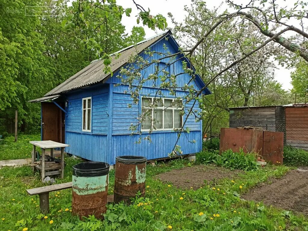 снт луч 1. ясногорск снт 8. ясногорск снт. снт 10 ясногорск. ясногорск снт.