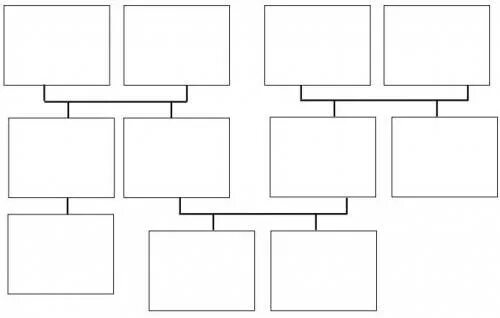 Фрагмент родословного древа семьи впр. Родственные связи можно представить в виде схемы. Родственные связи можно представить в виде схемы например на схеме. Семейное дерево ВПР. ВПР родственные связи можно представить в виде схемы.