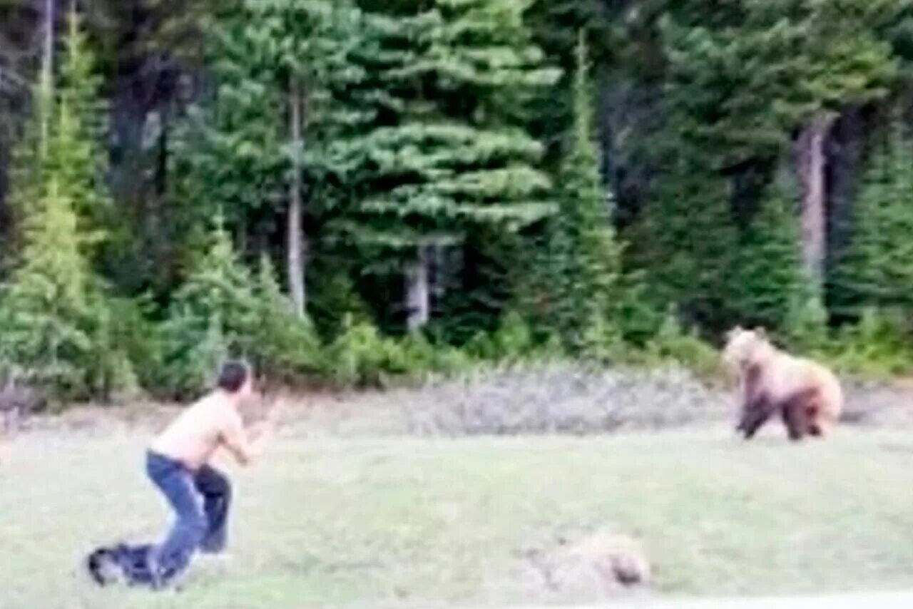 Медведь и человек. Русский медведь гиф. Медведь дерется с человеком. Человек дерётся с седведем. Битва медведей.