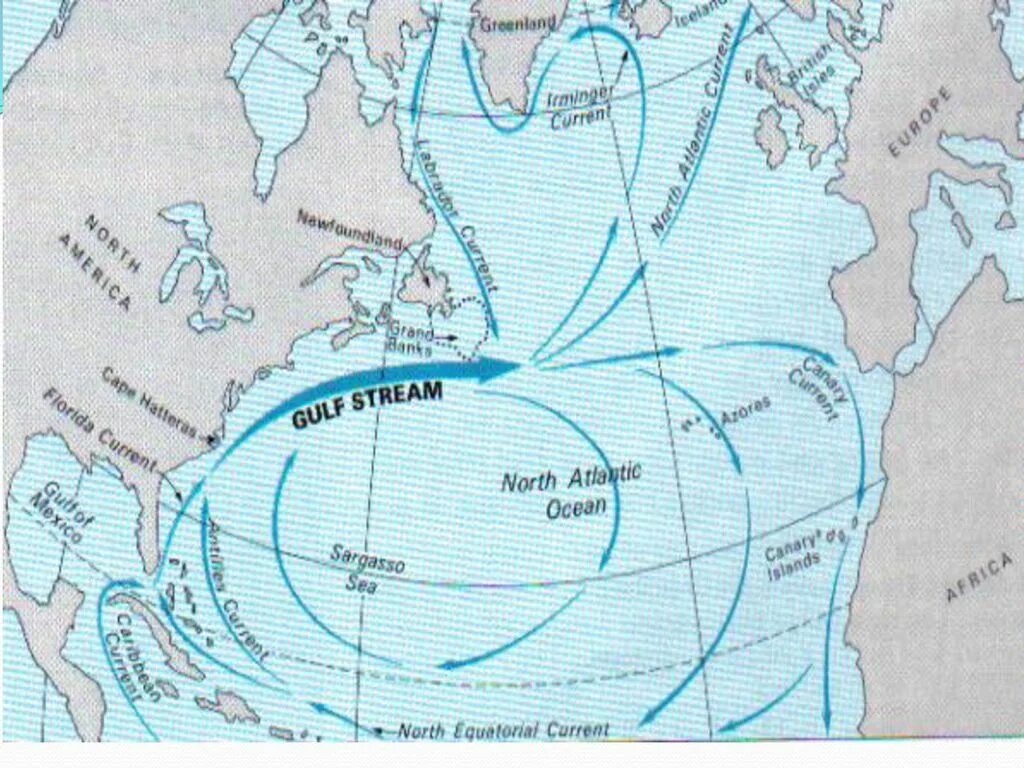 Течение вод атлантического океана. Гольфстрим и Холодное течение. Течение Гольфстрим на карте. Гольфстрим и Лабрадорское течение. Гольфстрим на карте мирового океана.