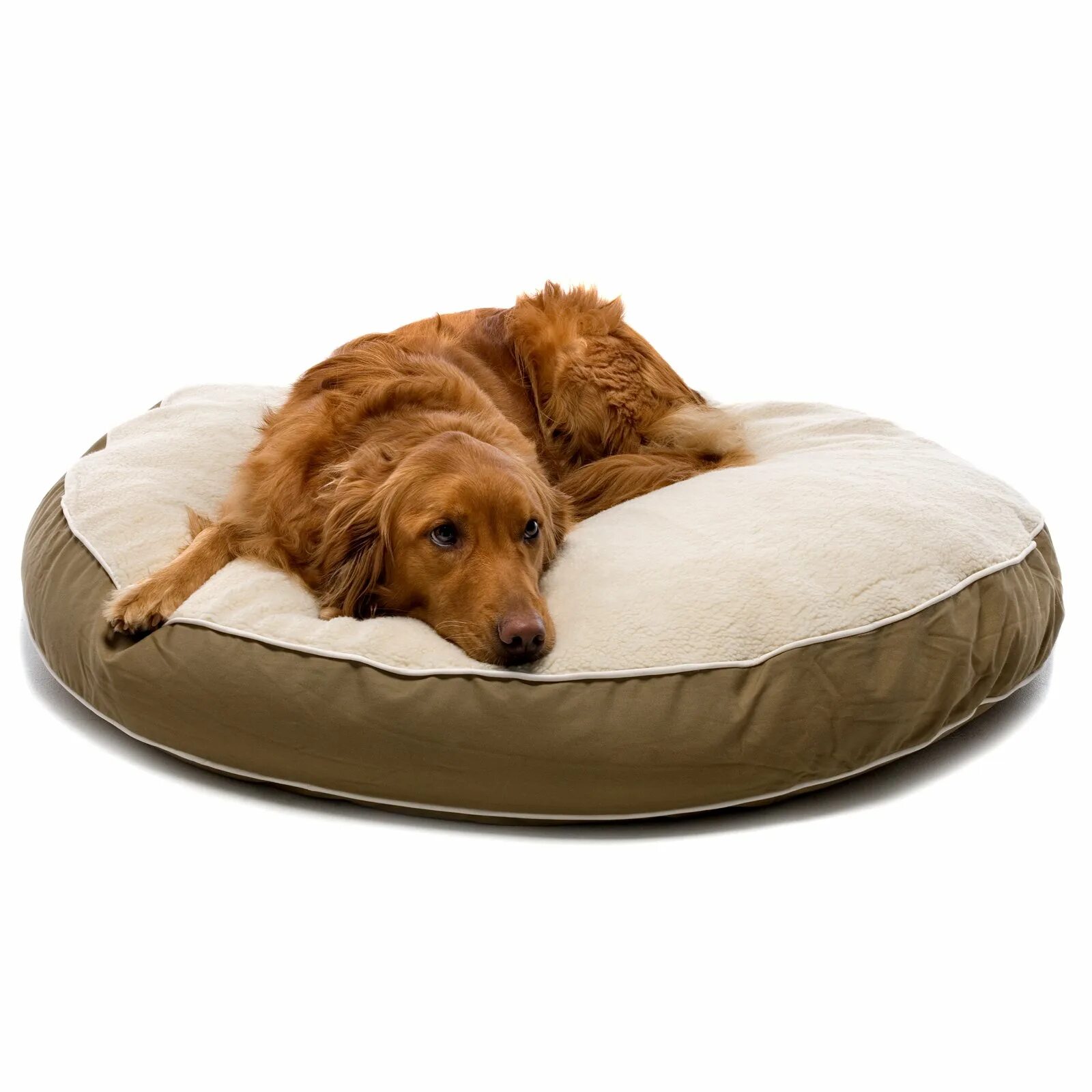 Лежанка для крупных пород. Лежанка Dog gone Smart. Лежак для собак Dog gone Smart Lounger Bed XS 48.3х38х16.5 см. Лежак Karlie Revue 5602/70. Лежанка TITBIT 100×70×5.