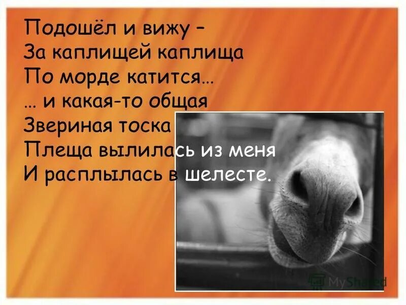 Подошёл взял за руку уверенно сказал. Мытье посуды юмор. Подошёл взял за руку уверенно сказал. В чем проблема подошел. В чем проблема подошел взял за руку уверенно сказал.