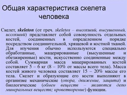 Характеристика скелета