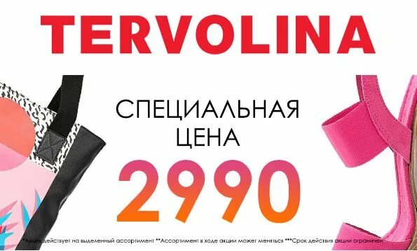 5000 бонусов это сколько. Терволина логотип. Терволина бонусы. Терволина подарочный сертификат. Терволина пакет.