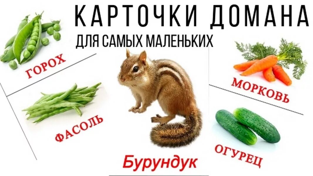 Домана распечатать. Карточки домана. карточки домана для самых. карточкa домана самые самые. карточки глена домана для самых маленьких.