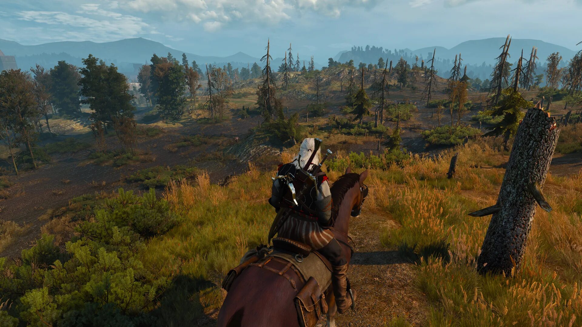 Оптимизация witcher 3
