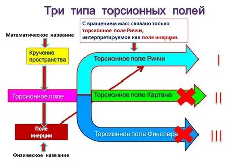Торсионные поля что это