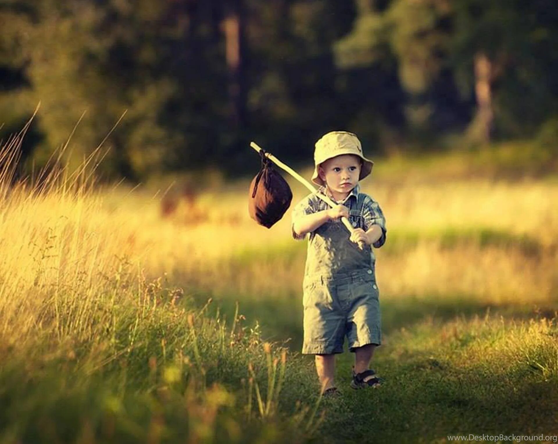 Быть добру на земле песни. Быть добру на земле песни. Слова песни дорога добра. Любовь к природе. А на земле быть добру.