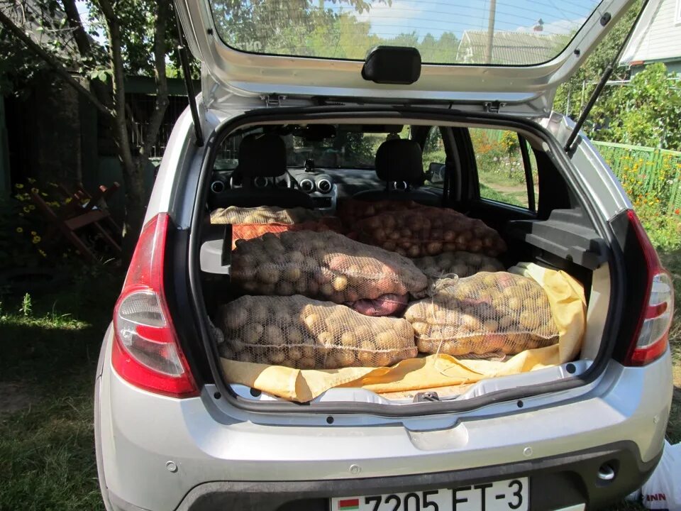 Renault sandero багажник. Багажник Сандеро 2. Дачник Рено Сандеро. Багажник Рено Сандеро 2. Дача Сандеро багажник.