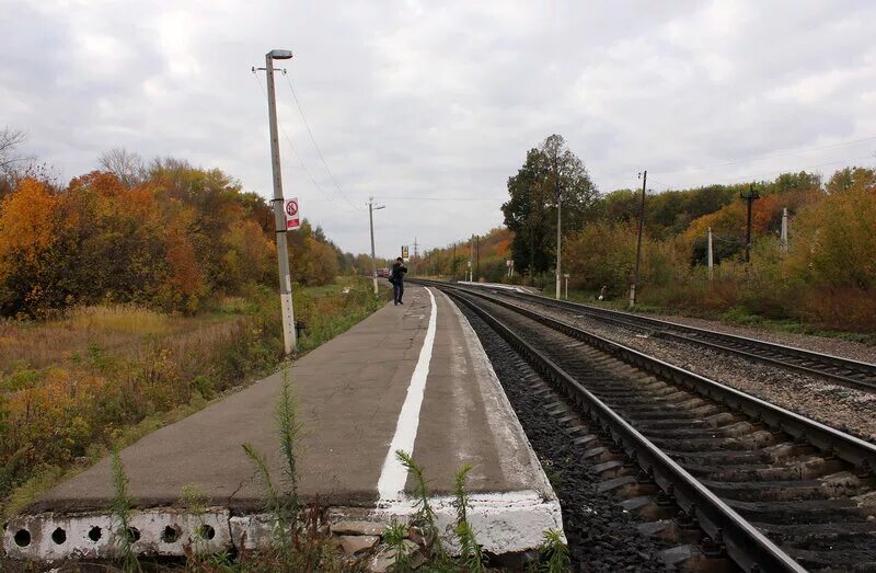 П волово. Станция Волово Тульской области. Станция Тесницкое Тульская область. Поселок Волово Тульская область. Волово Тульская область вокзал.