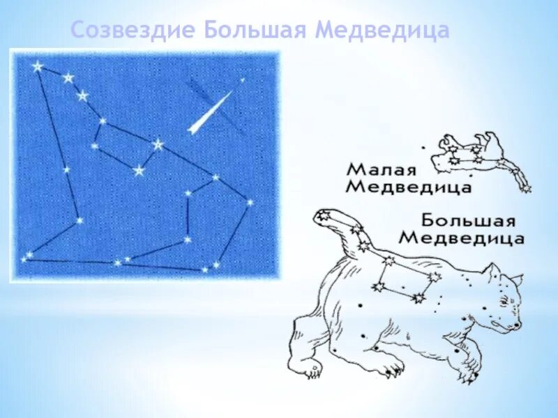 Созвездие медведица для детей. Большая и малая Медведица Созвездие. Созвездие большой медведицы рисунок. Созвездие большой и малой медведицы. Большая и малая Медведица Созвездие картинки.