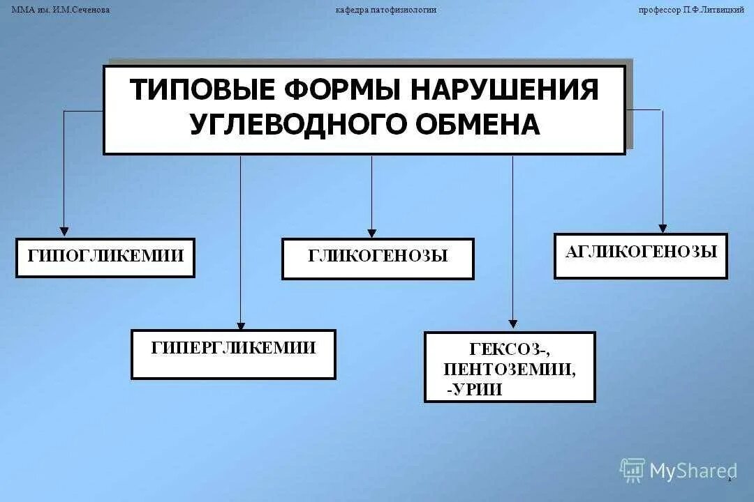 Патофизиология углеводного и липидного обменов - online presentation