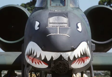 A-10 Thunderbolt II Shark Face.JPEG. d:Special:EntityPage/P180. 