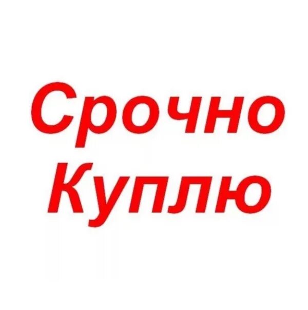 Срочно куплю от собственника. Куплю картинка. Срочно картинка. Срочно куплю. Срочно куплю картинка.