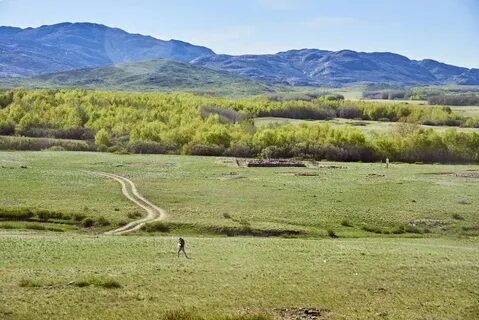 Алтай улытау