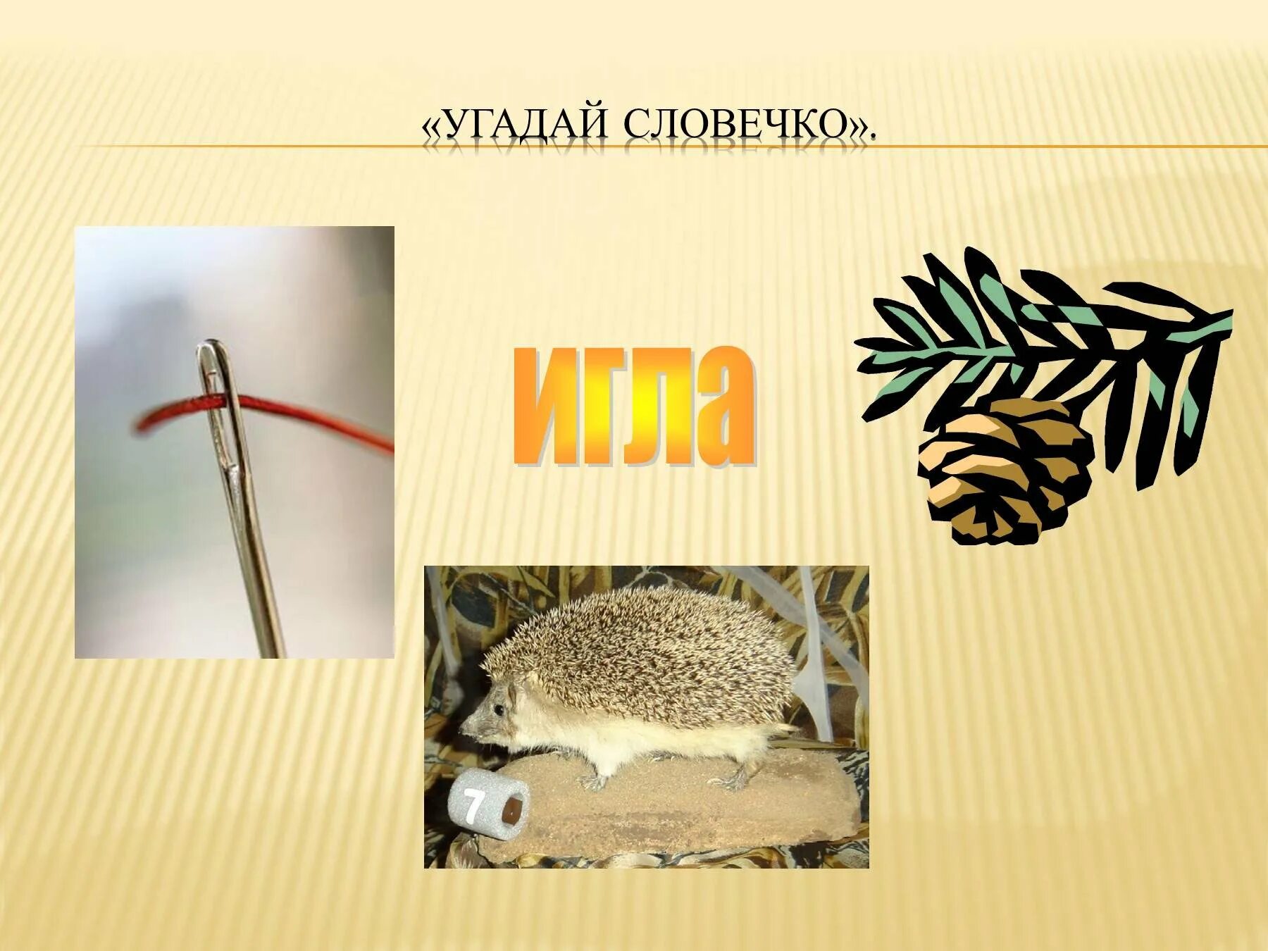 Мышь омоним