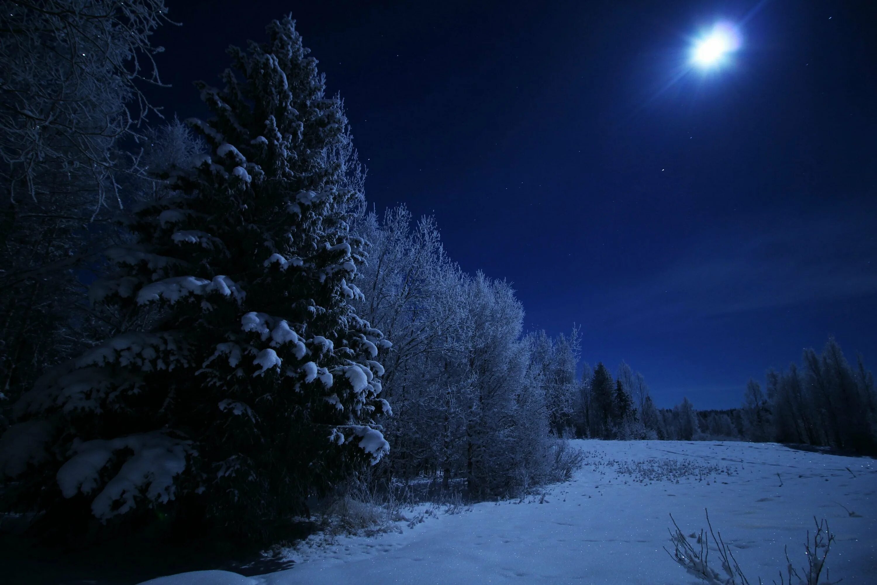 Картинка снег ночью. Зима ночь. Ночной зимний лес. Ночь зимой. Зимний лес ночью.