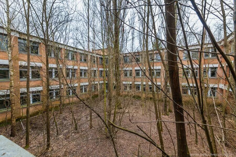 Школа в чернобыле. Чернобыль школа 2. припять школа 3. 3 школа чернобыля. чернобыль школа 1.