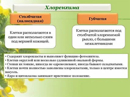 Столбчатая выполняемые функции