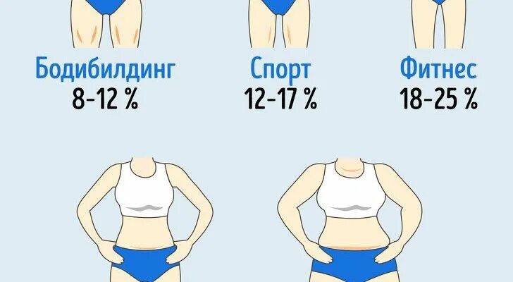 Как весы определяют процент жира и мышц. 10 кг жира в организме. измерить жир в организме. процент сухости тела. пресс в зависимости от процента жира.