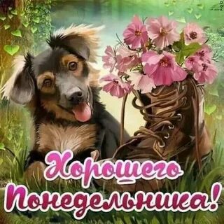 Открытка с понедельником мужчине