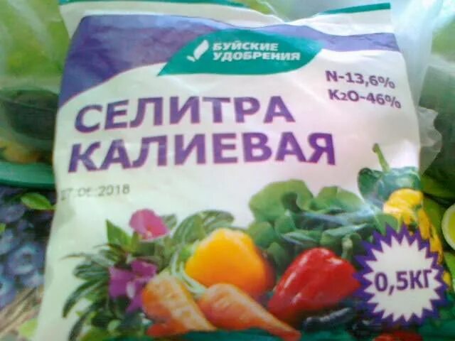 Дозировка кальциевой селитры для рассады. Калиевая селитра удобрение. Калийная селитра удобрение. Калийная селитра для томатов. Селитра калиевая флораф.