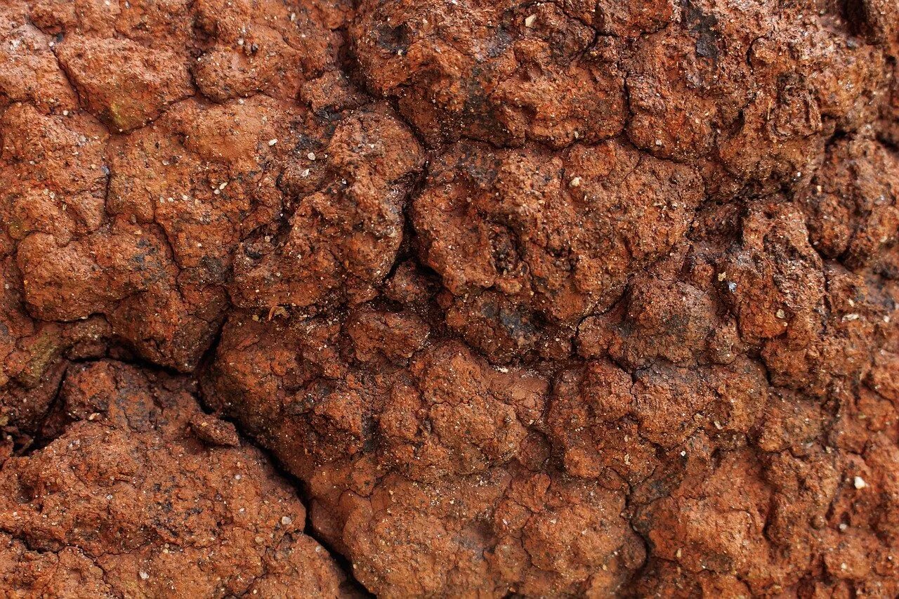 плодородный бурый грунт. почва бурая. почва бурая. земля коричневый. суглинок бурый.