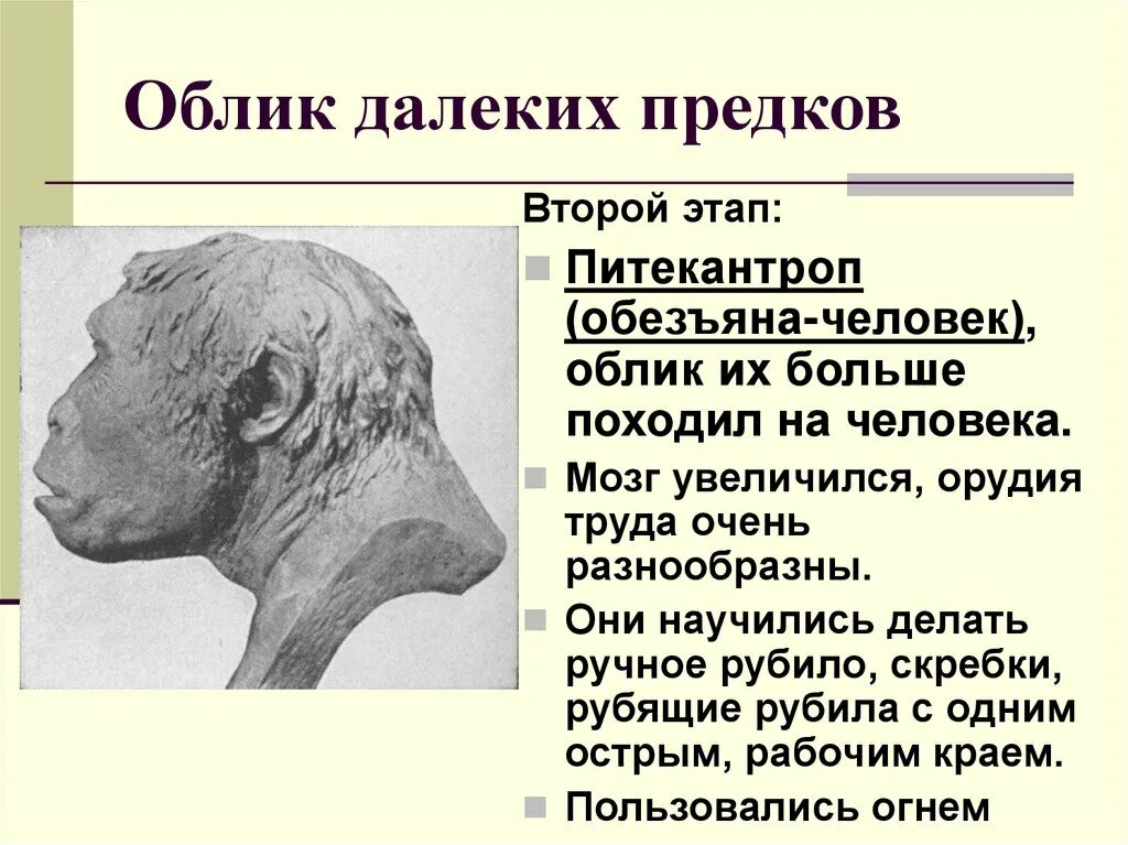 Появление признаков далеких предков