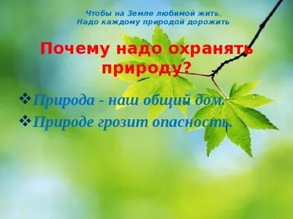 Зачем природе