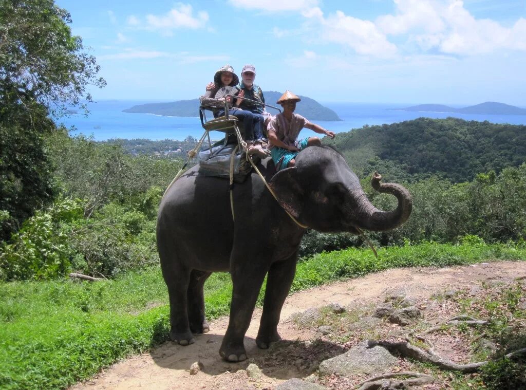 Elephant пхукет. Тайланд Пхукет экскурсии на слонах. Таиланд Пхукет слоны. Катание слоны на Пхукете. Тайланд Пхукет слон.