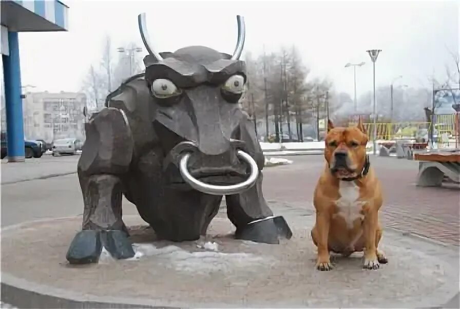 структурный гороскоп. знакитзодиака по годам. совместимость знаков китайского гороскопа таблица. совместимость кабана. собака бык совместимость в любви.