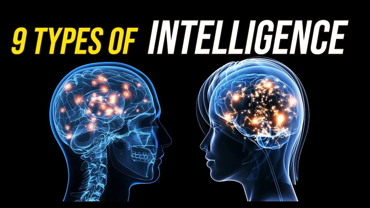 Types of intelligence