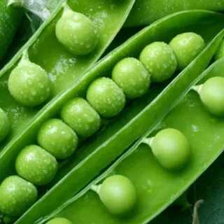 N pea