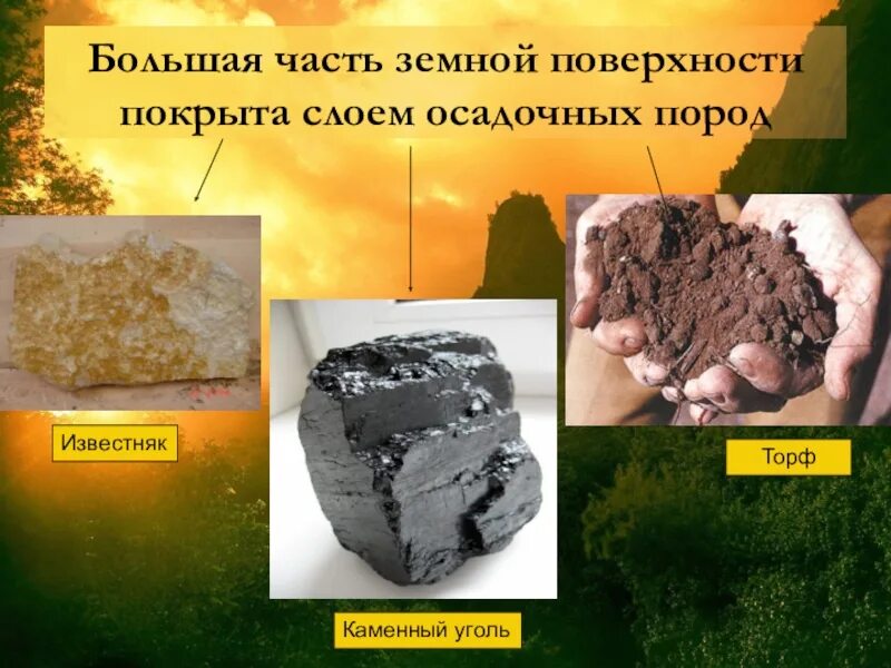 Как используют горную породу уголь. Осадочные горные породы торф. уголь горная порода. торф осадочная порода. процесс образования органической горной породы уголь.