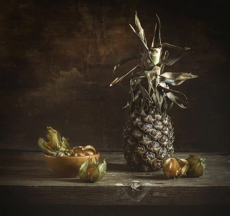 натюрморт с ананасом. ананас живопись масло. машков натюрморт с ананасом. натюрморт с ананасом. машков натюрморт с ананасом 1910.