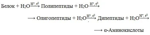 Горение белка реакция уравнение. Белки горение реакция. Горение белка формула. Химические свойства белков горение. Белки характерные реакции