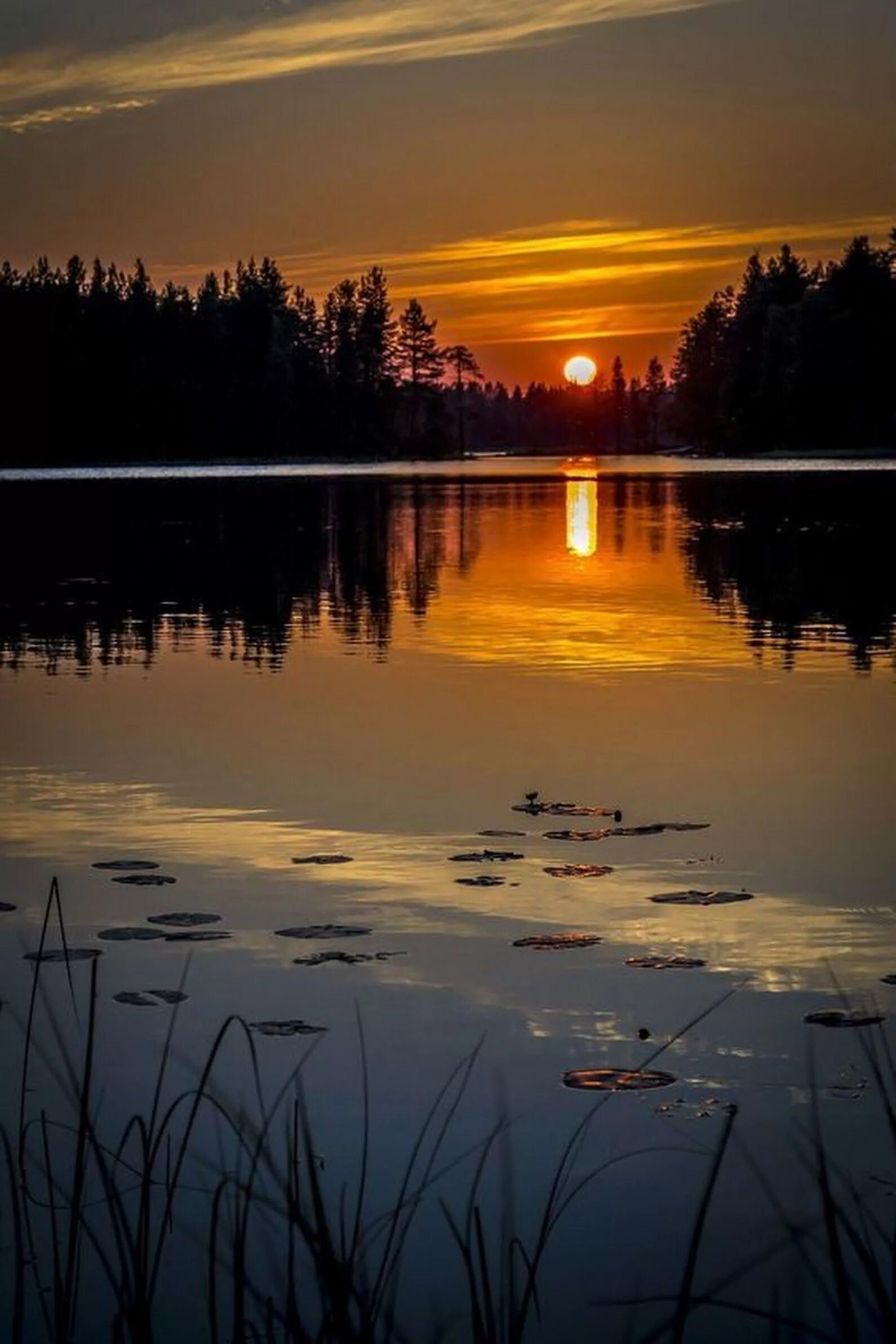 Добрый вечер пейзаж. Вечерняя природа. Вечерний пейзаж. Лес озеро закат. Природа вечер.