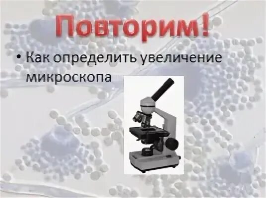 Как определить увеличение микроскопа