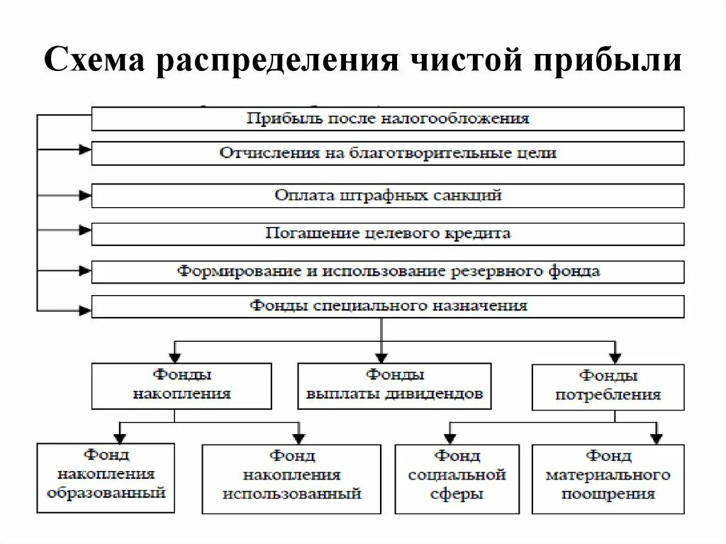 Схема распределения чистой прибыли предприятия. Схема распределения чистой прибыли аптечной организации. Схема использования чистой прибыли. Направления распределения чистой прибыли предприятия.