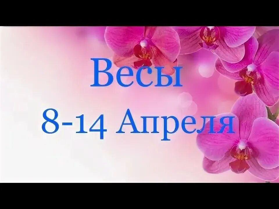 14 апреля 2019 г